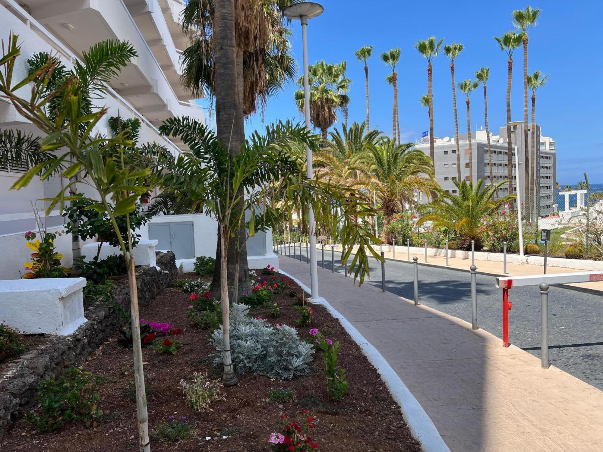 Tenerife Sea View 216 Aparthotel Playa Fanabe Exterior photo